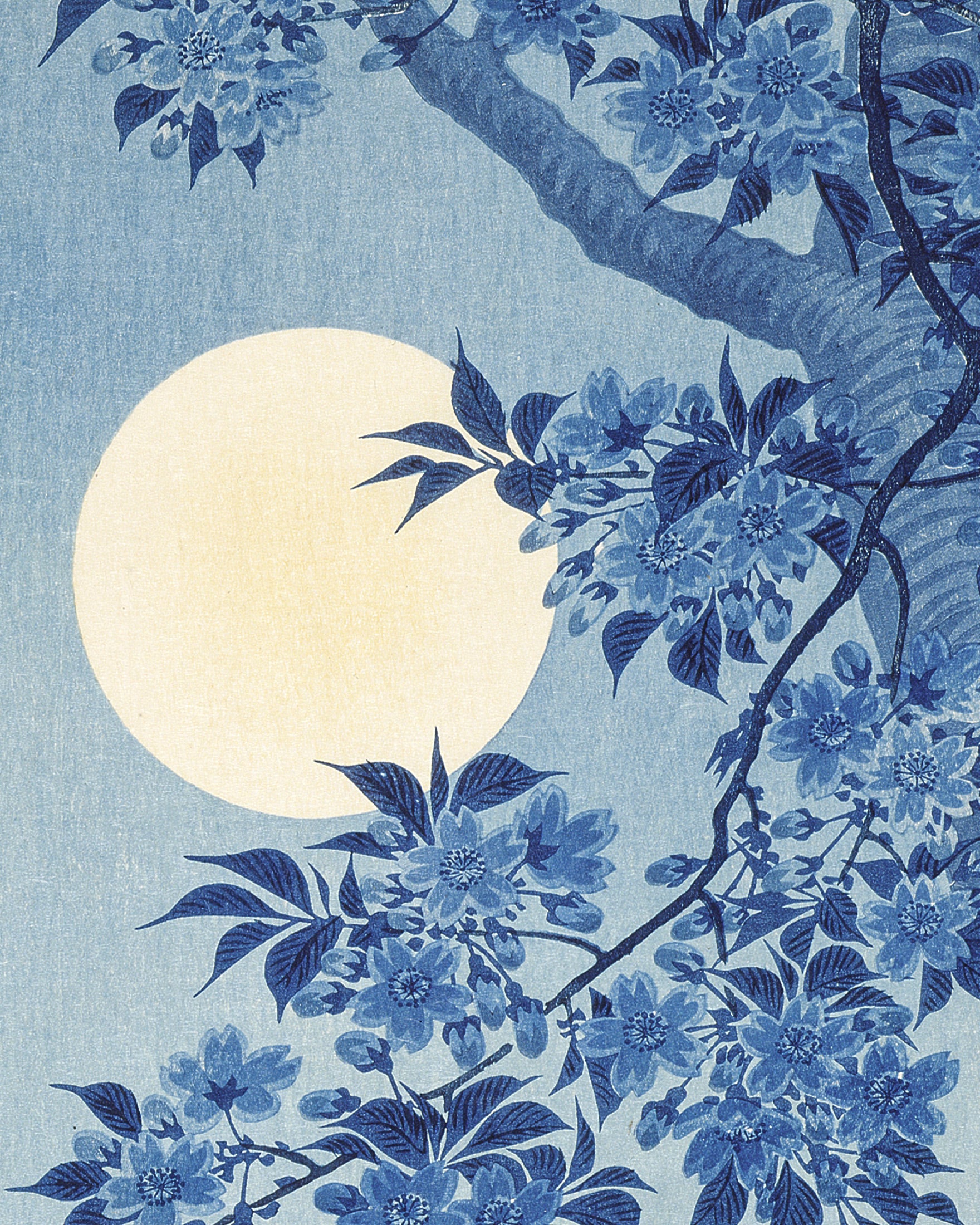 Blühende Kirschblüte bei mondheller Nacht, Ohara Koson - poster