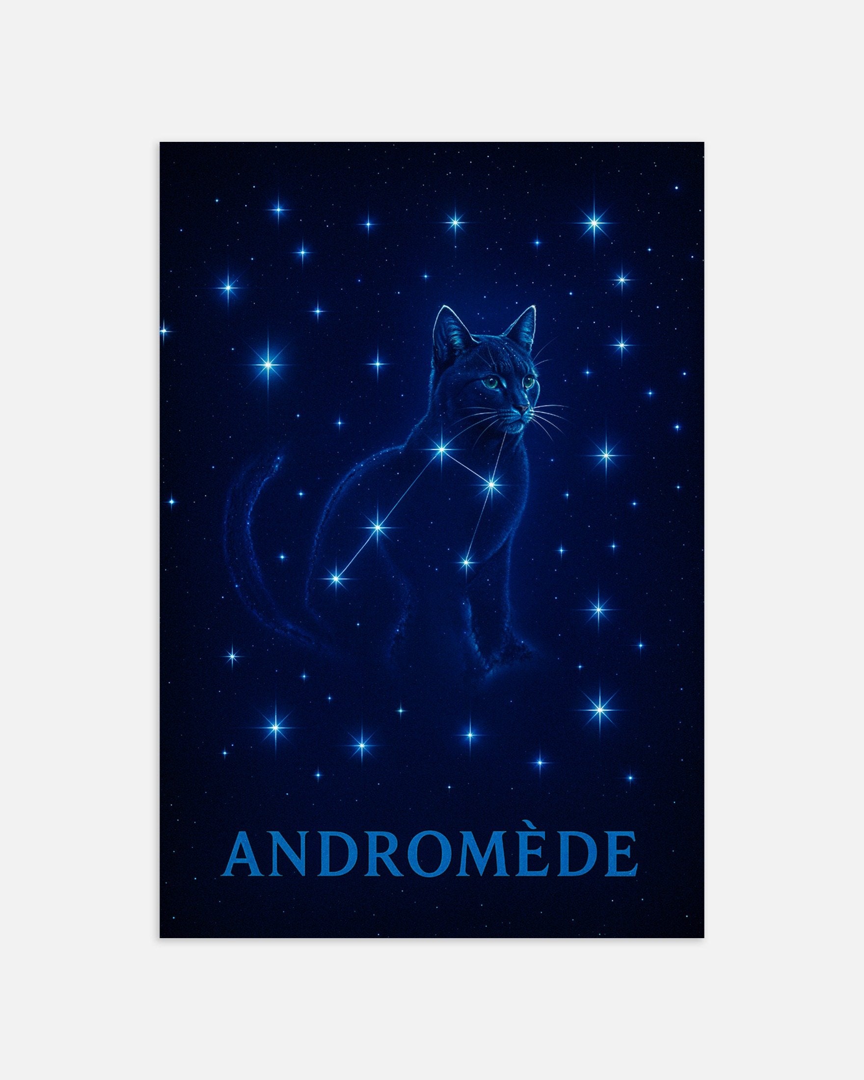 Poster of Andromeda Cat, thumbnail