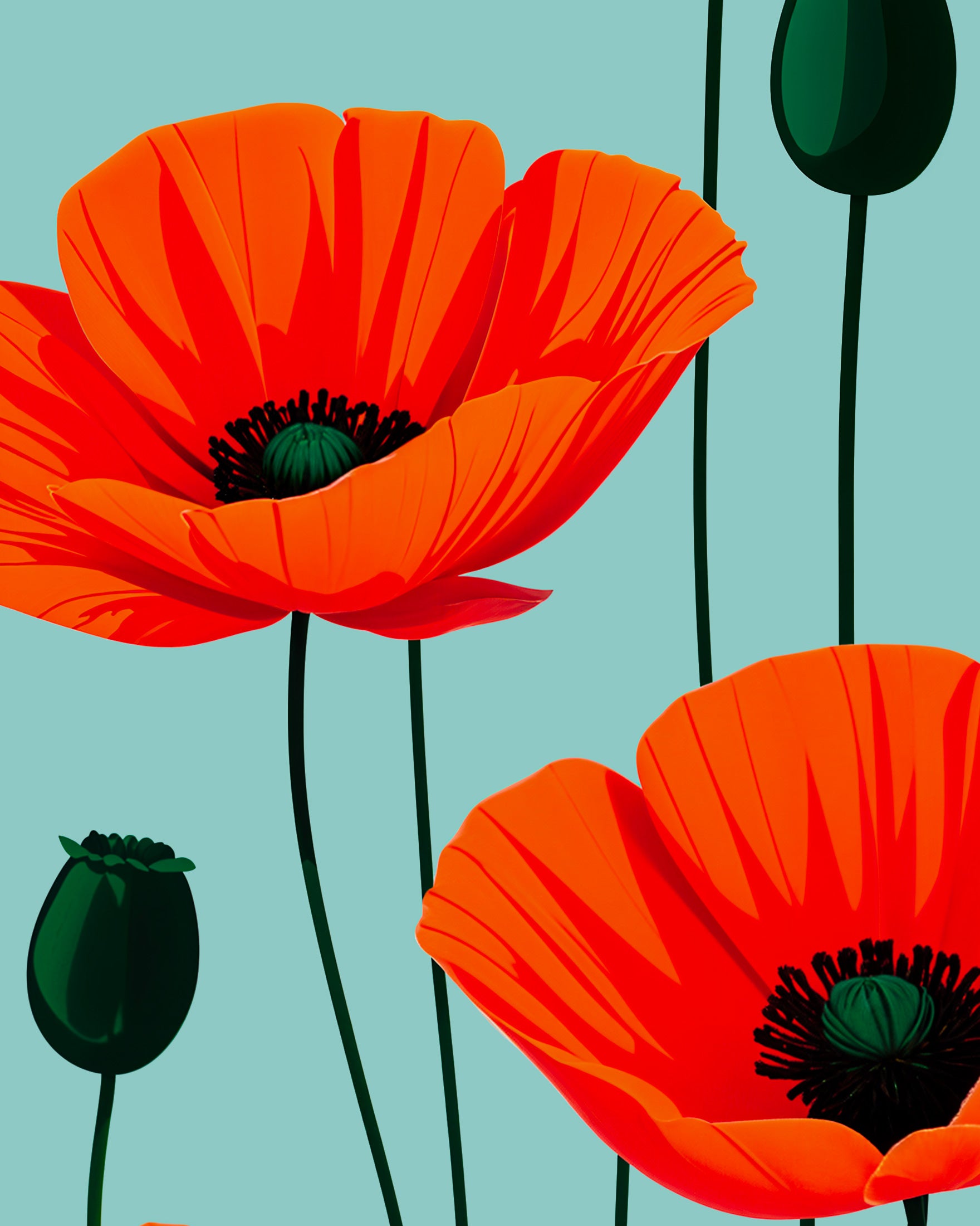 Mohnblumen - poster
