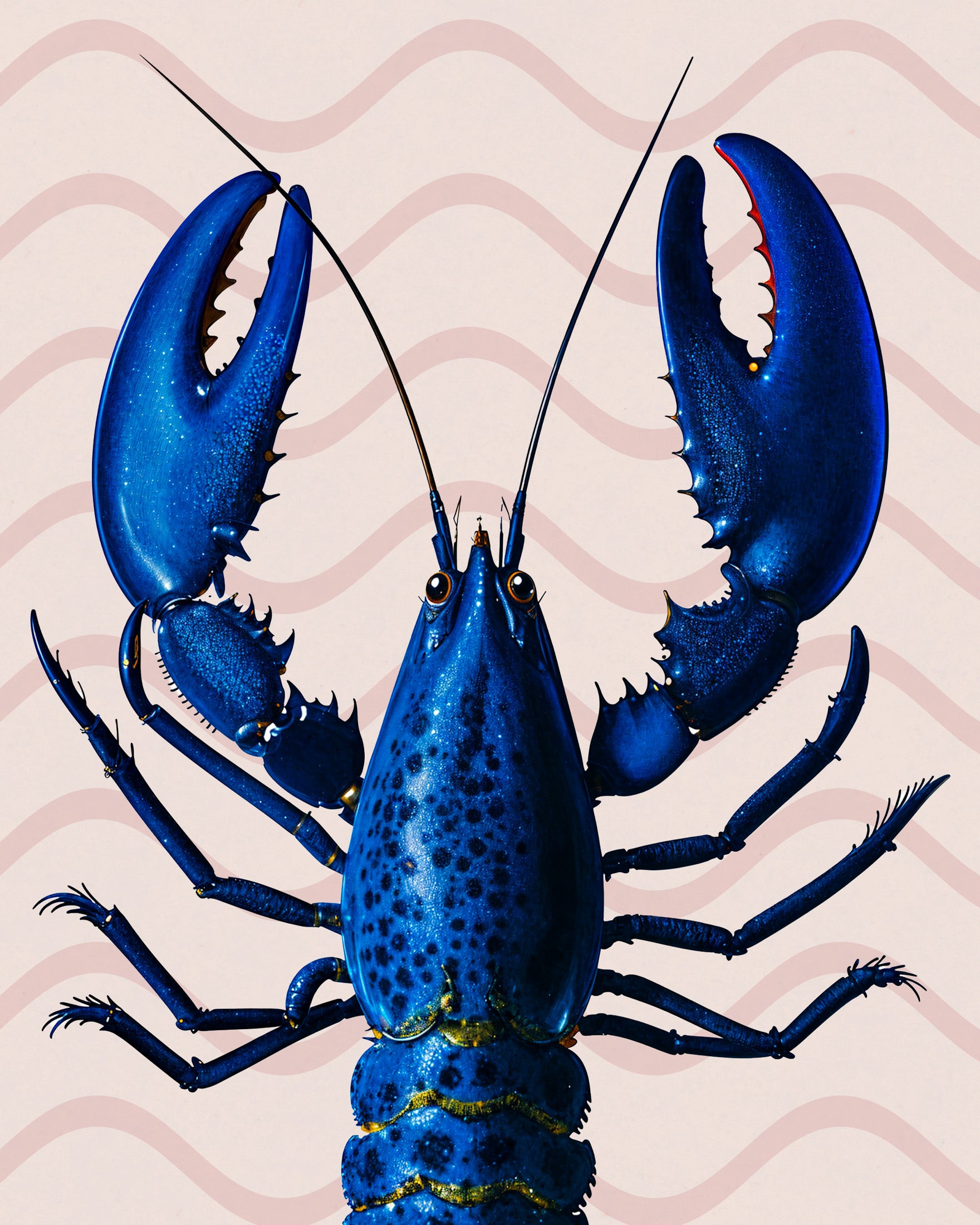 Blauer Hummer Poster