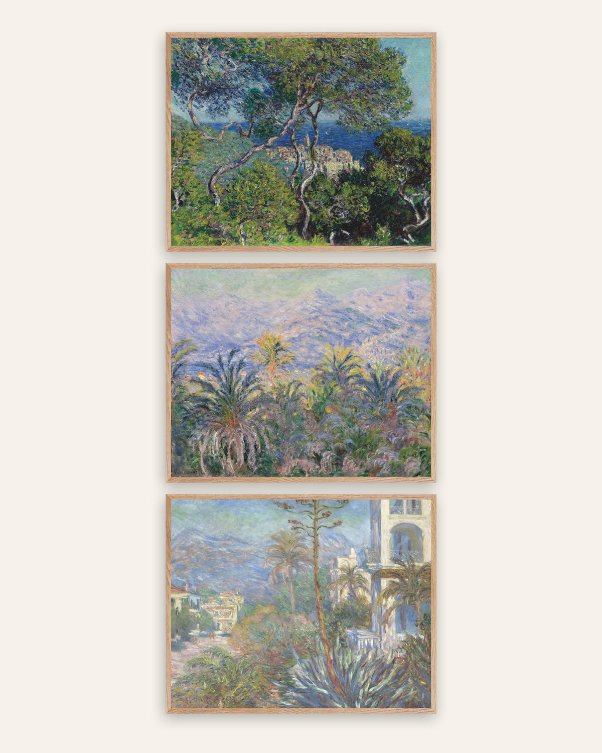 Monet Bordighera Poster 3er-Set: Pinien, Palmen und Villen der Riviera, in Rahmen aus Natureiche