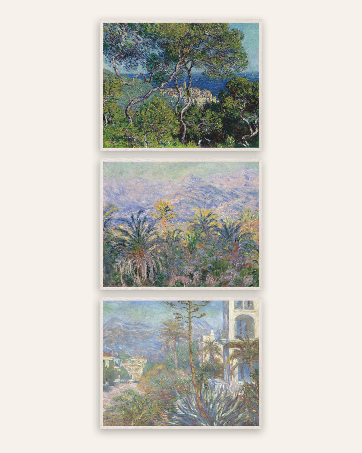Monet Bordighera Poster 3er-Set: Pinien, Palmen und Villen der Riviera, in weißen Eichenrahmen