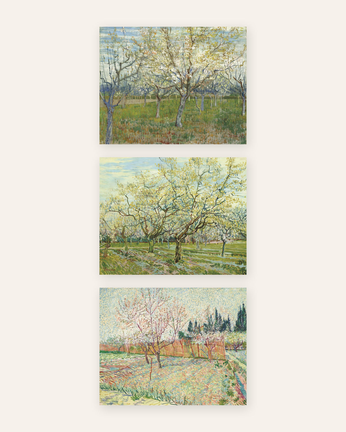 Van Gogh Obstgarten Poster 3er-Set: rosa, weiß und mit Zypressen, ohne Rahmen