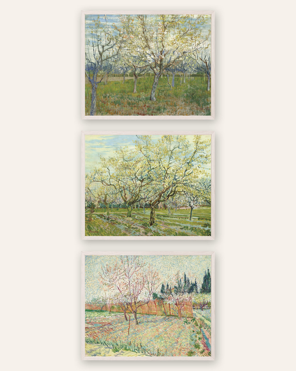 Van Gogh Obstgarten Poster 3er-Set: rosa, weiß und mit Zypressen, in weißen Eichenrahmen