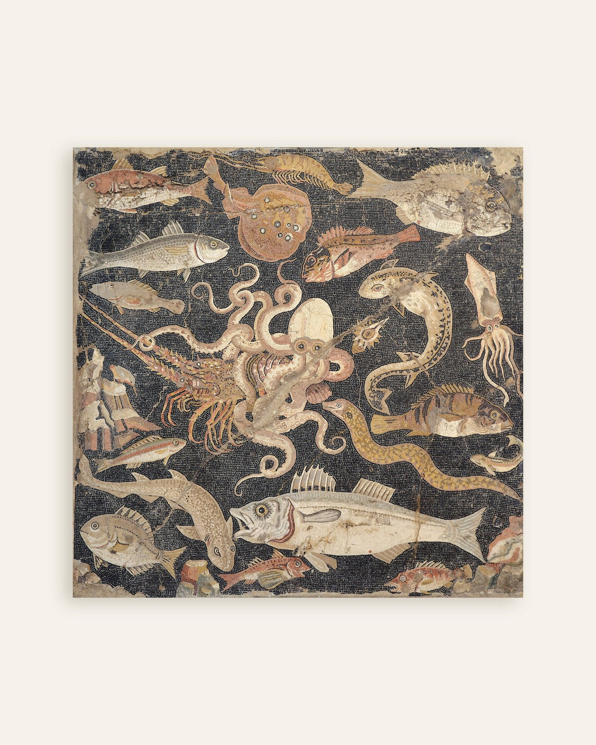 Poster mit dem Fischmosaik aus Pompeji, römisches Meeresleben