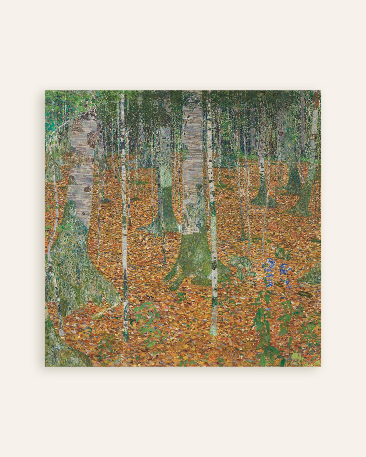Poster Birkenwald (1903) von Gustav Klimt, Vorschaubild