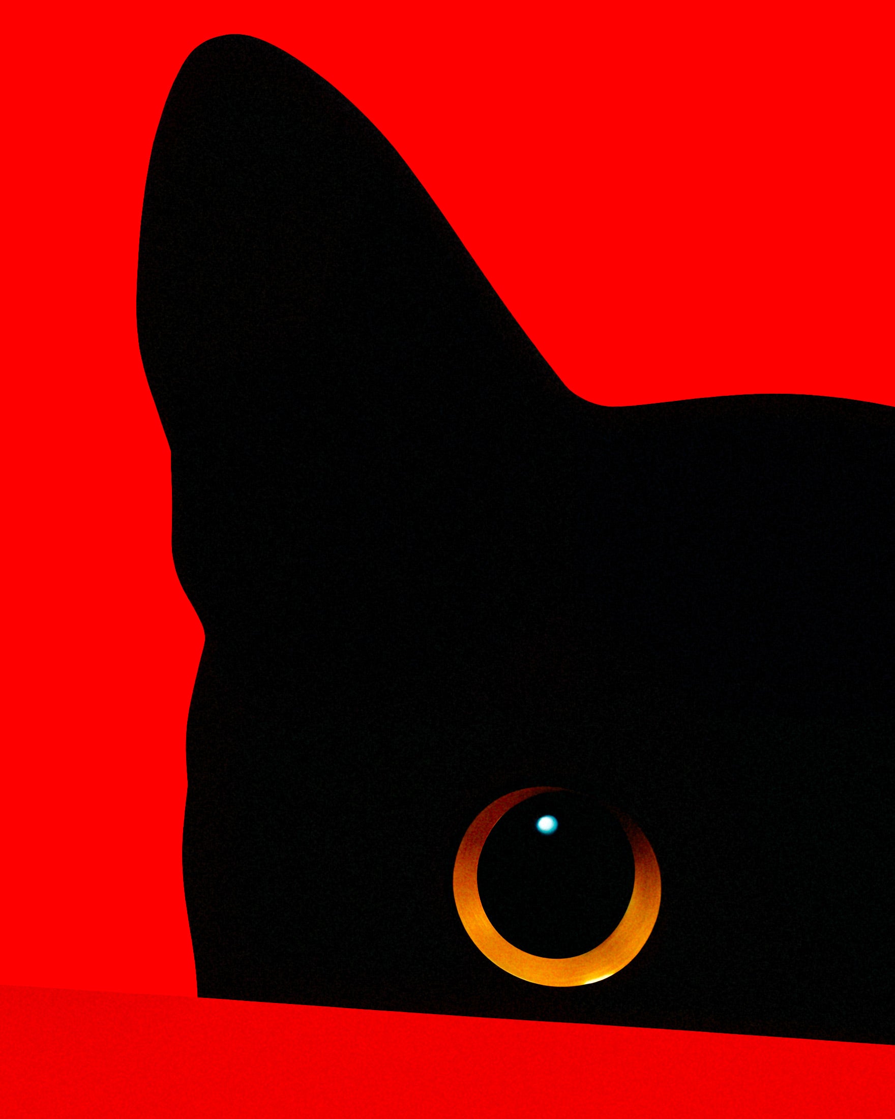Katze hinter roter Mauer - poster