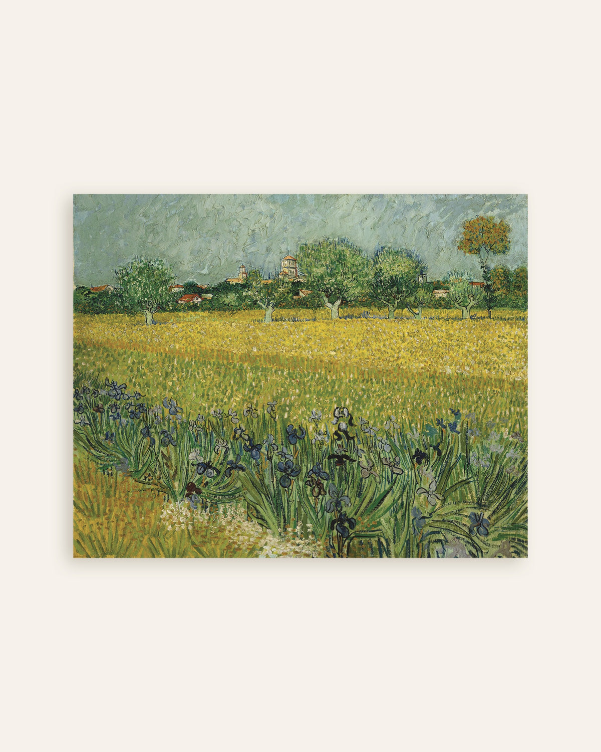 Poster von Feld mit Schwertlilien bei Arles (1888) von Vincent van Gogh, Vorschaubild