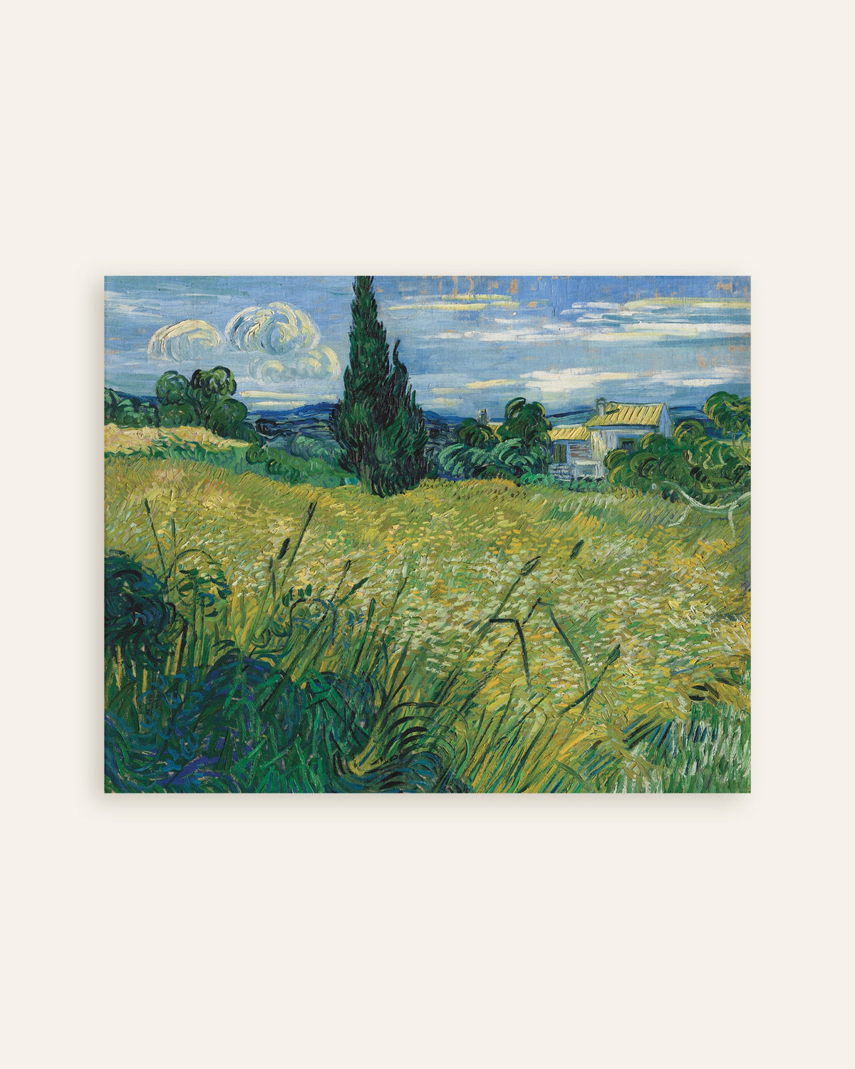 Poster mit dem Titel Grünes Weizenfeld mit Zypressen (1889) von Vincent van Gogh, Vorschaubild