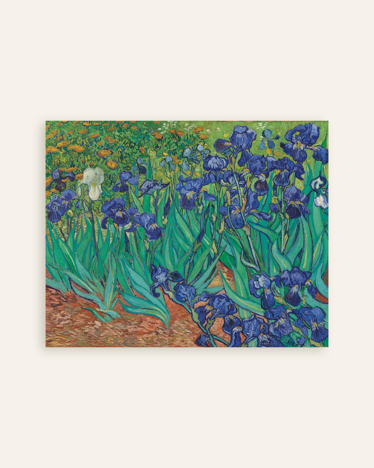 Poster „Schwertlilien (1889) von Vincent van Gogh“, Miniaturansicht