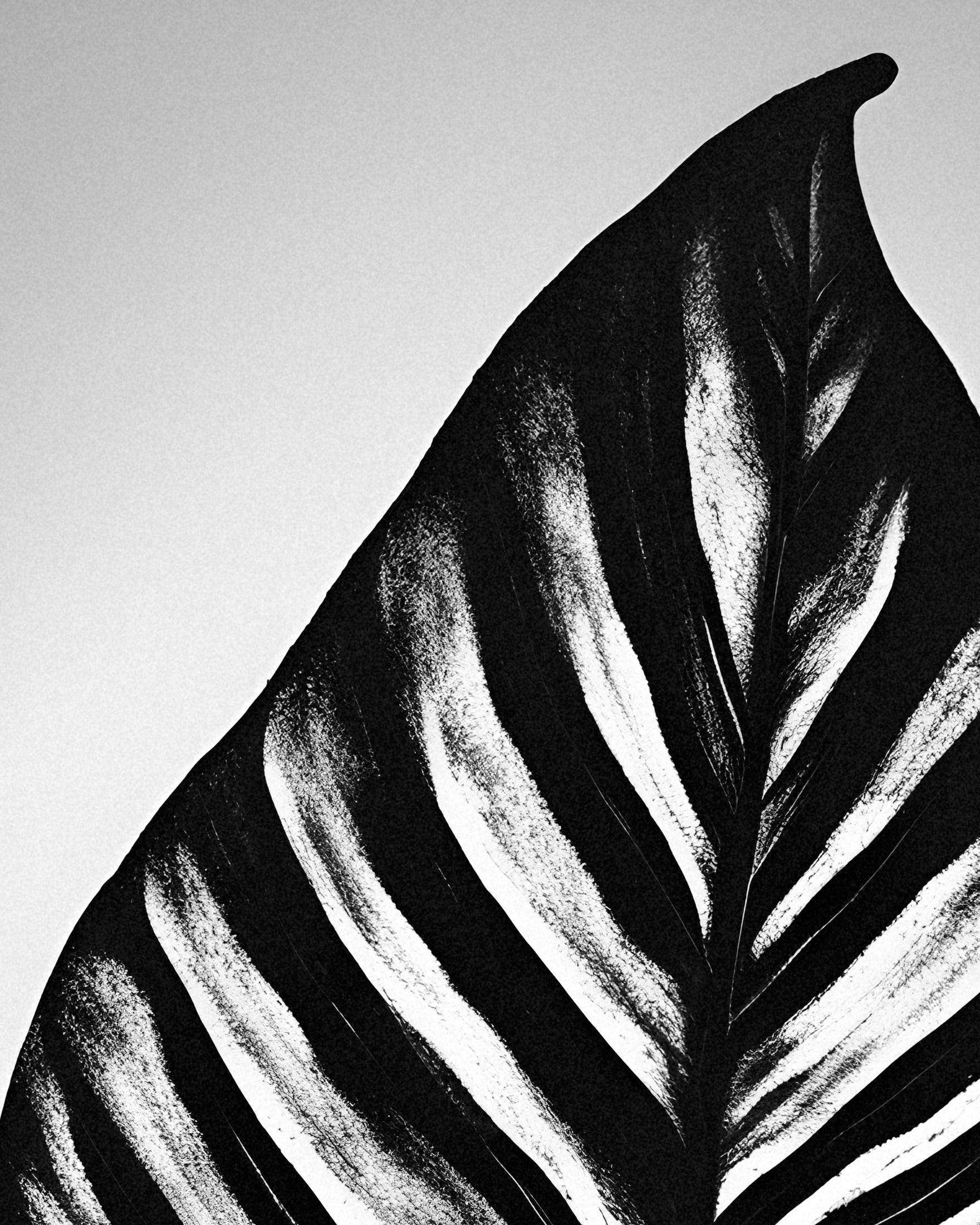 Ein Blatt - poster
