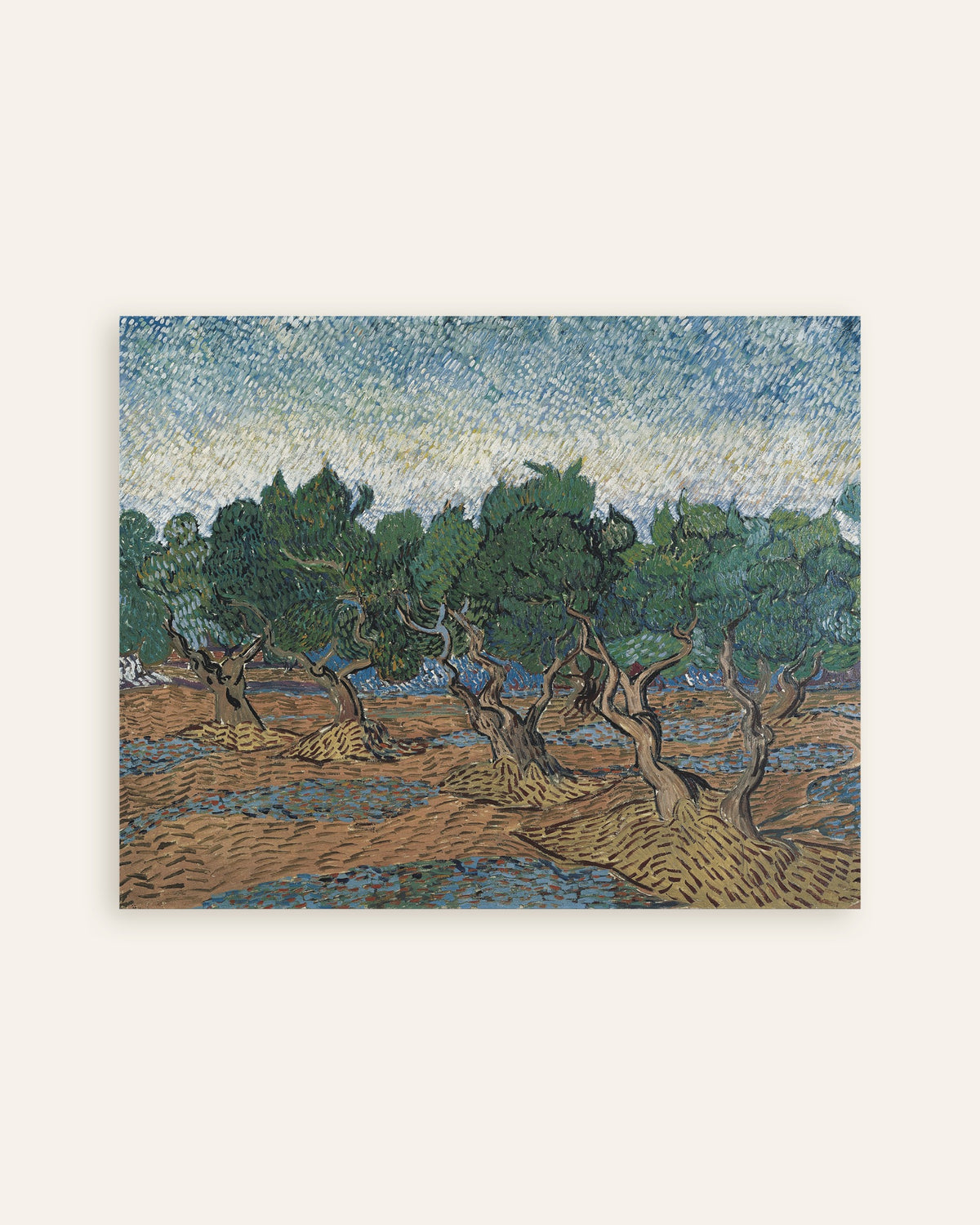 Miniaturansicht des Posters „Olivenhain (1889) von Vincent van Gogh“
