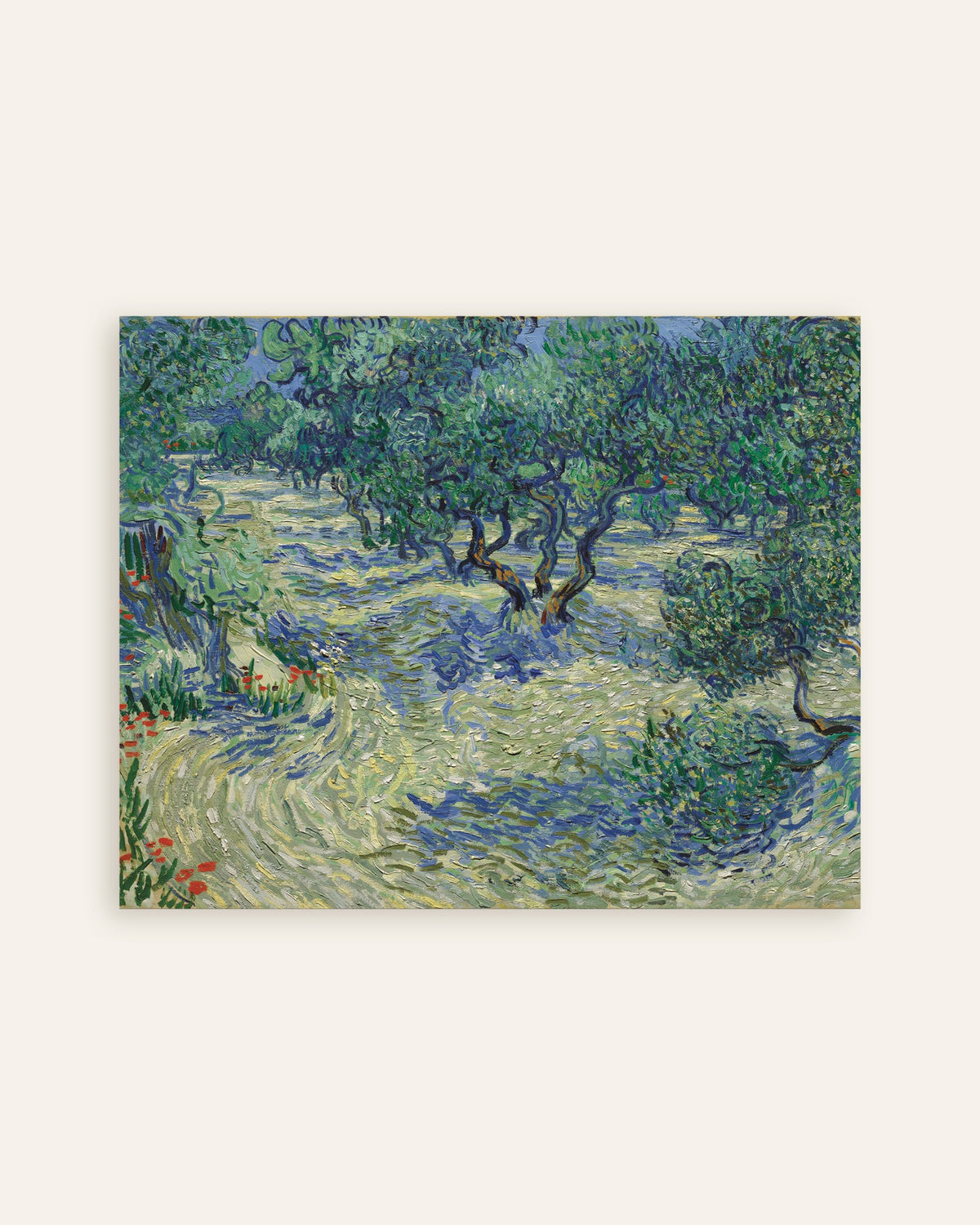 Poster „Olivenhain (1889) von Vincent van Gogh“, Miniaturansicht