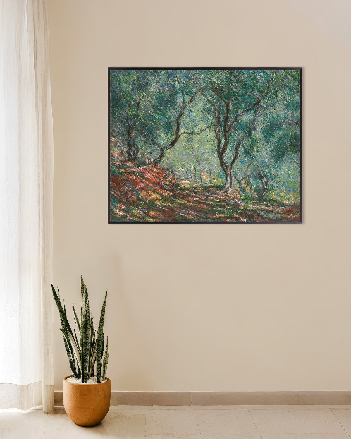 Poster Olivenhain im Garten Moreno (1884) von Claude Monet mit Metallrahmen