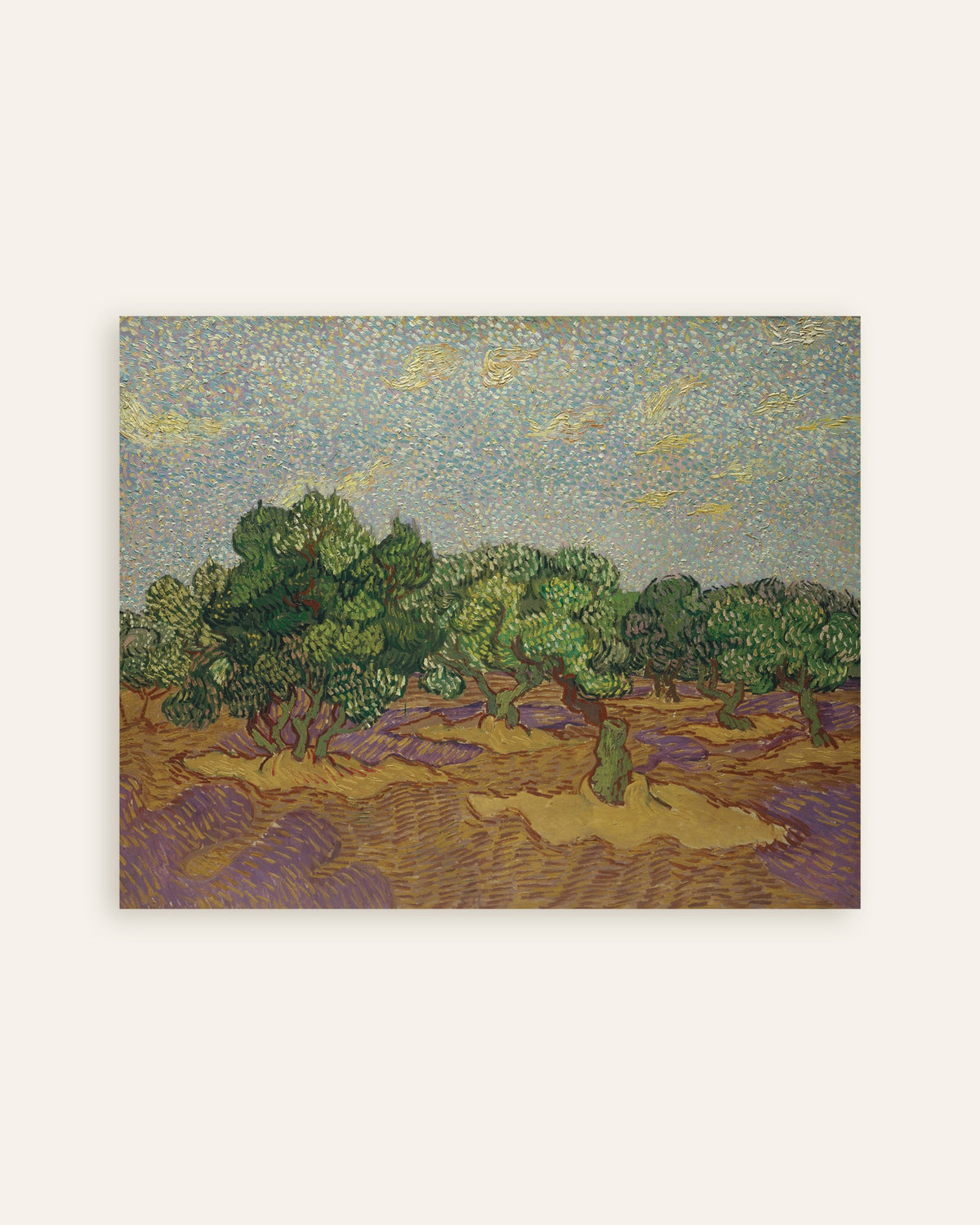 Poster von Olivenbäume unter einem blassen Himmel (1889) von Vincent van Gogh, Miniaturansicht