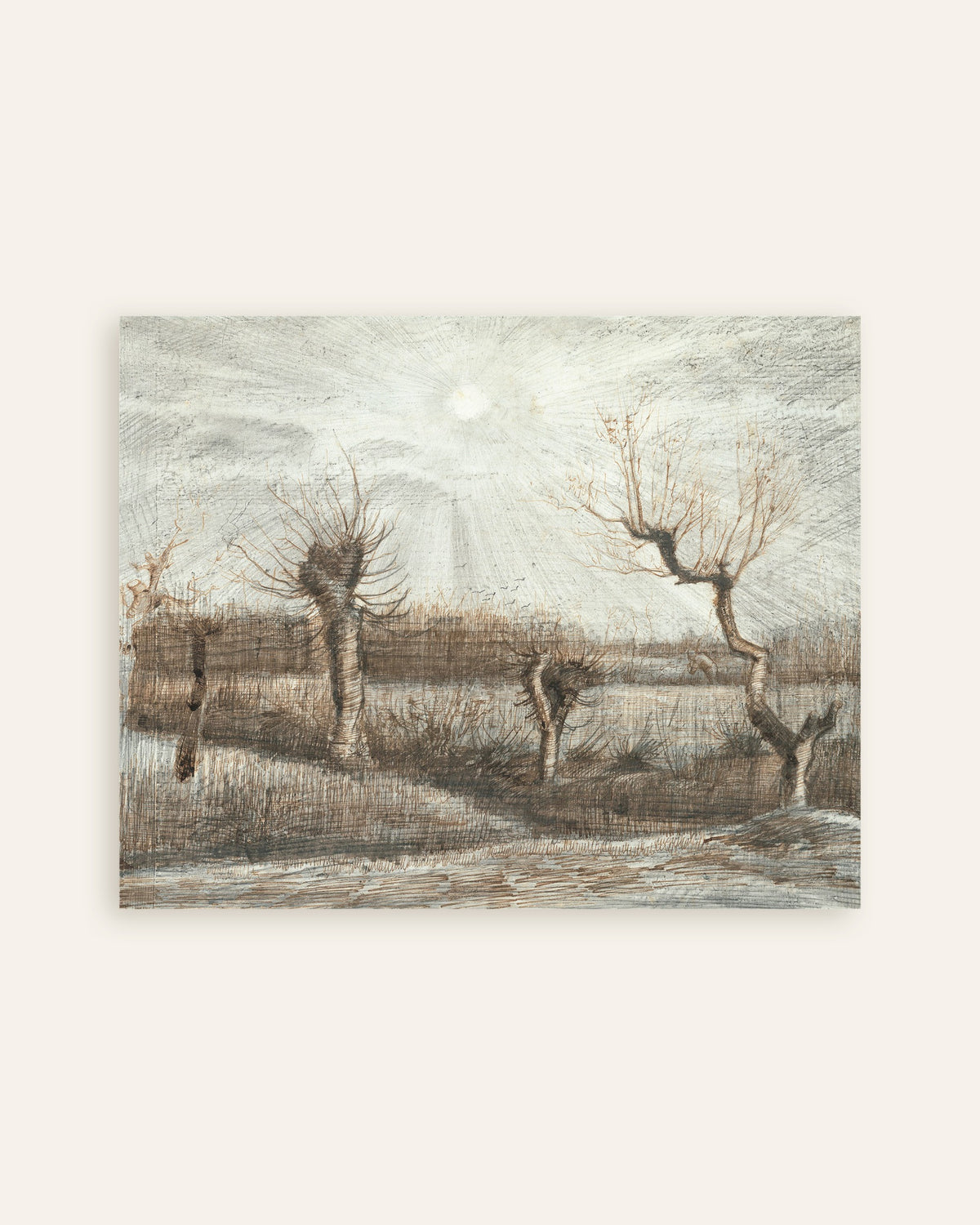 Poster von Pollard-Weiden (1884) von Vincent van Gogh, als Miniaturansicht